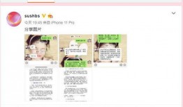 吃瓜新闻合集在线观看免费,揭秘娱乐圈幕后真相