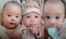 全家听我心声吃瓜全集免费观看,吃瓜盛宴，免费观看大揭秘